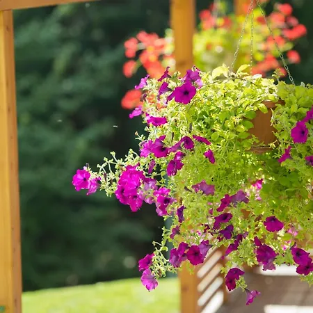 Haus Erika 배드호프가스타인